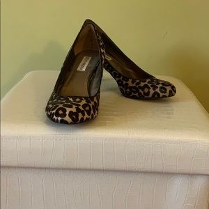 Steve Madden Leopard Calf’s Hair Pumps